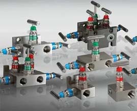 Duplex Steel Manifold Valves Manufacturer in India