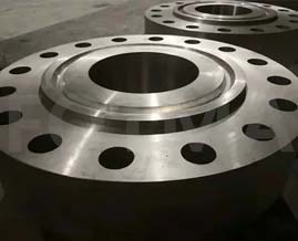 Ring Joint Flanges Manufacturer in India