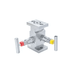 2 Way Manifold Valves, H Type Manufacturer in India