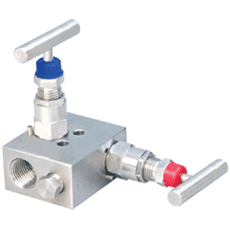 2 Valves Manifold Manufacturer in India